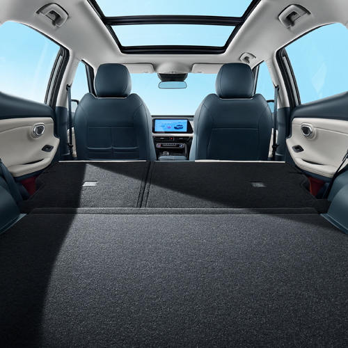 Flexible large cabin
