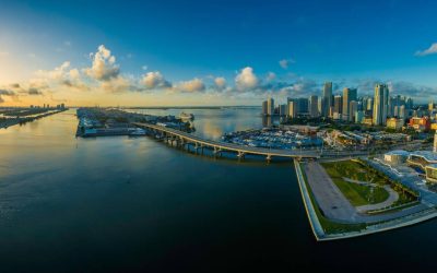 Introducing Our Group of Companies